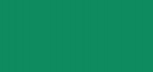 Verde 41
